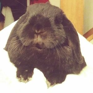 Meet your Posher, Cindy